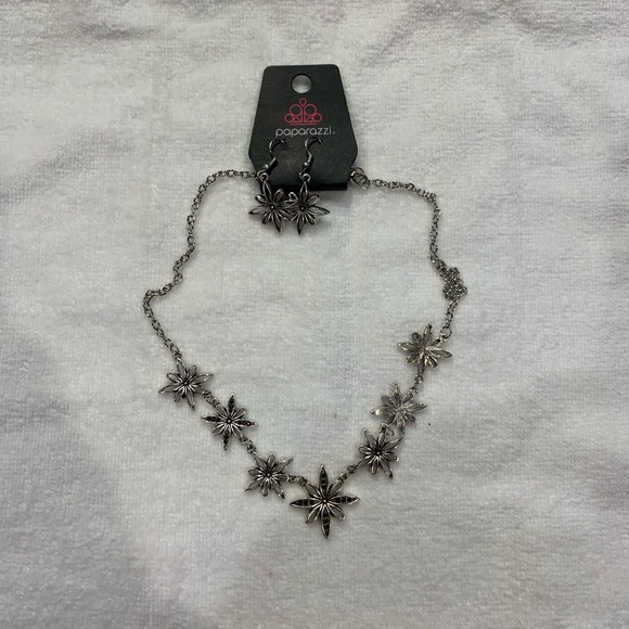 Paparazzi Earring and Necklace Set